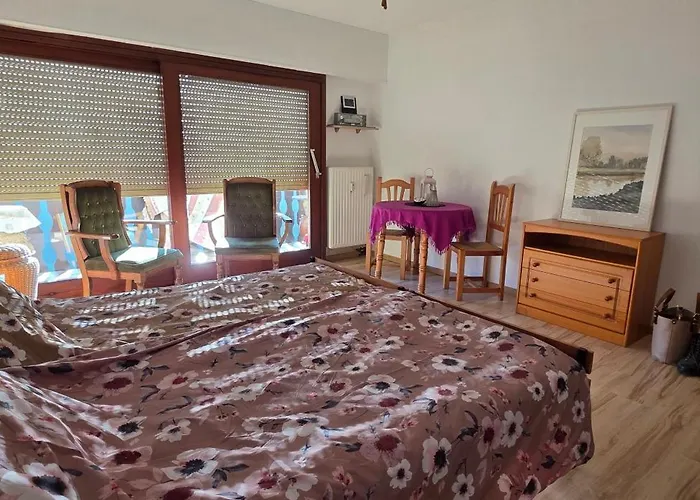 Tatil Evi Erkensruhr Eifel Glueck - Walking & Relaxing View