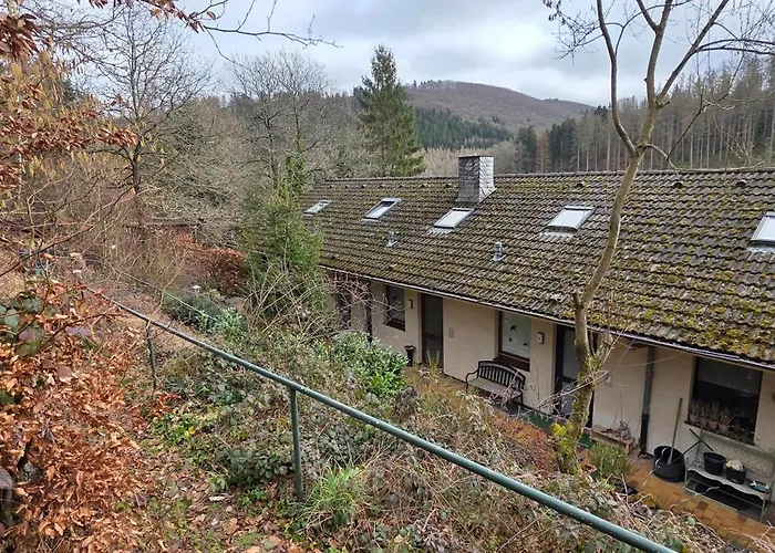 Erkensruhr Eifel Glueck - Walking & Relaxing View Tatil Evi *