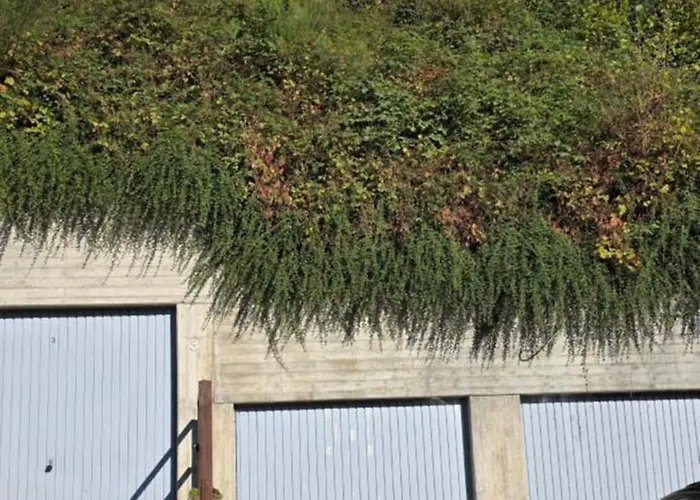 Erkensruhr Eifel Glueck - Walking & Relaxing View *