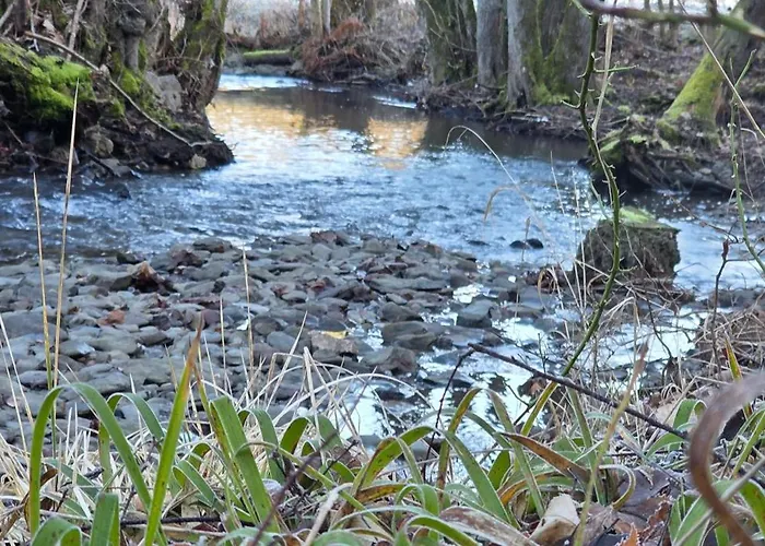 Tatil Evi Erkensruhr Eifel Glueck - Walking & Relaxing View Simmerath